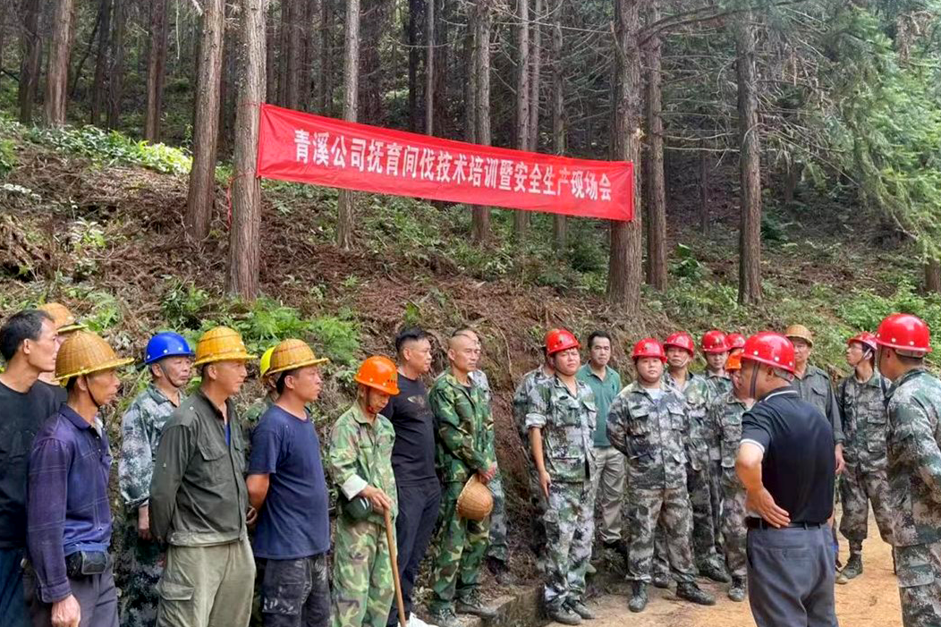 加強森林撫育示范管理，促進森林質量精準提升