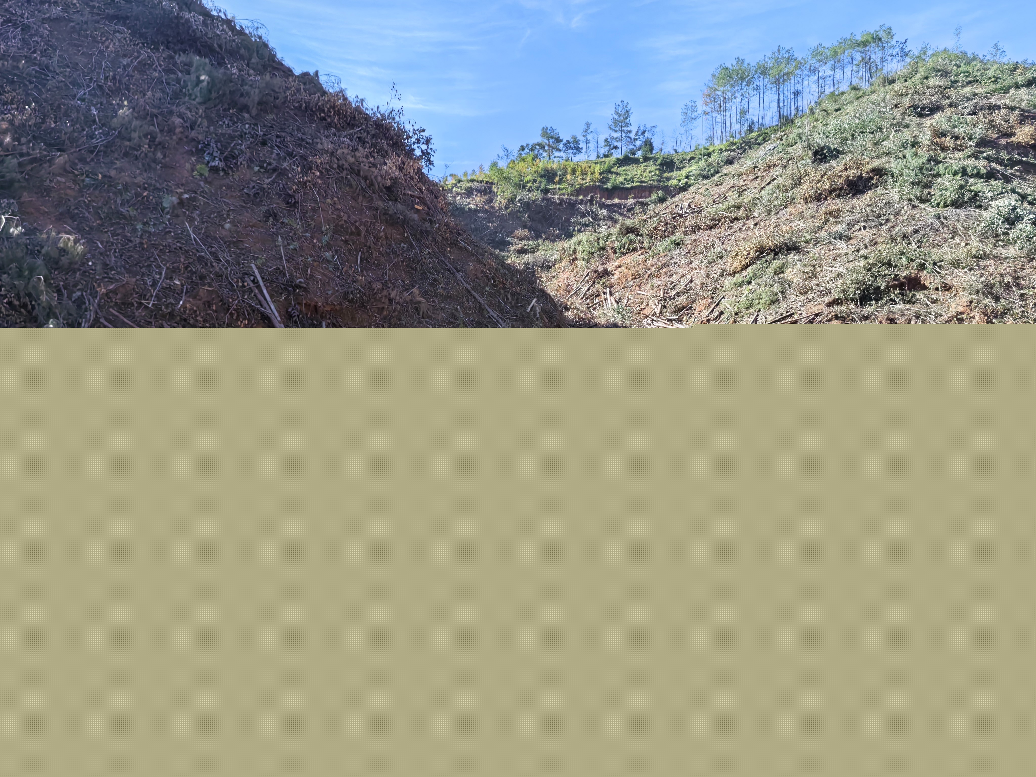 平安常青，我們在行動——常青分公司開展安全生產(chǎn)日活動