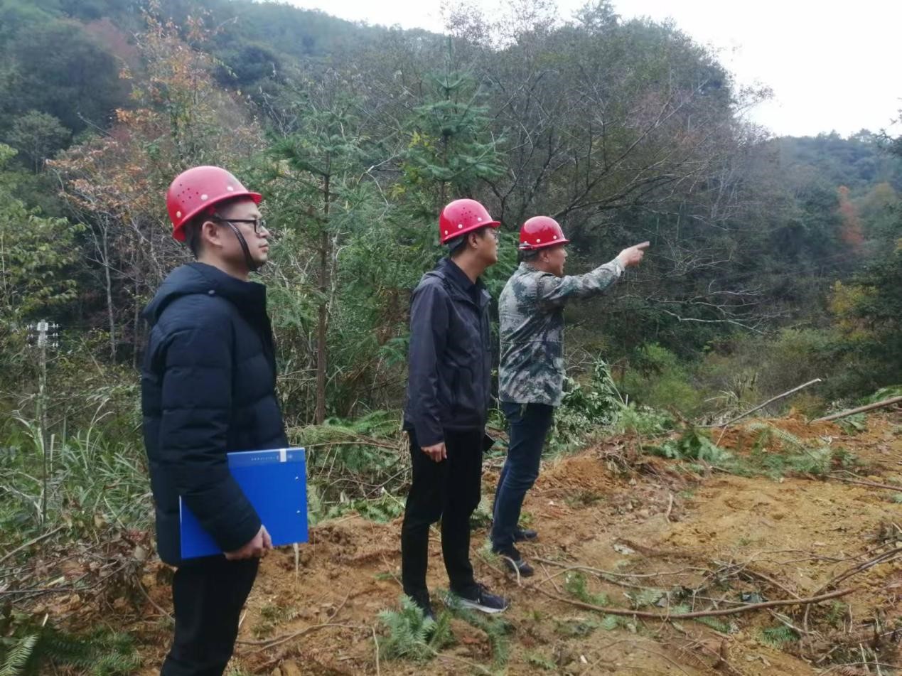 全面強化安全責任，嚴守森林防火線——福建金森全力保障生產(chǎn)安全