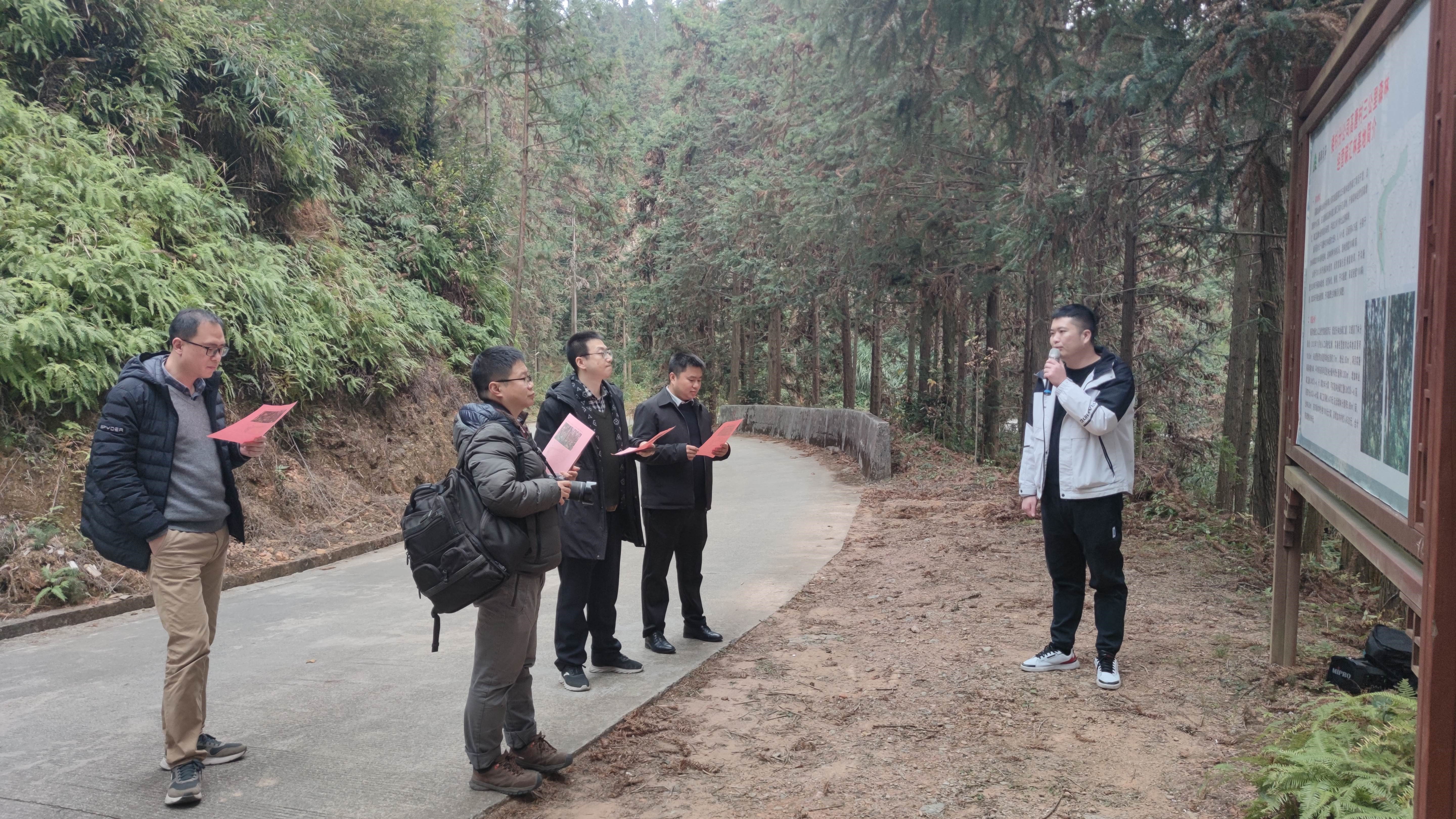 福建金森與上海園林集團——強強交流促合作，共繪林改新藍圖