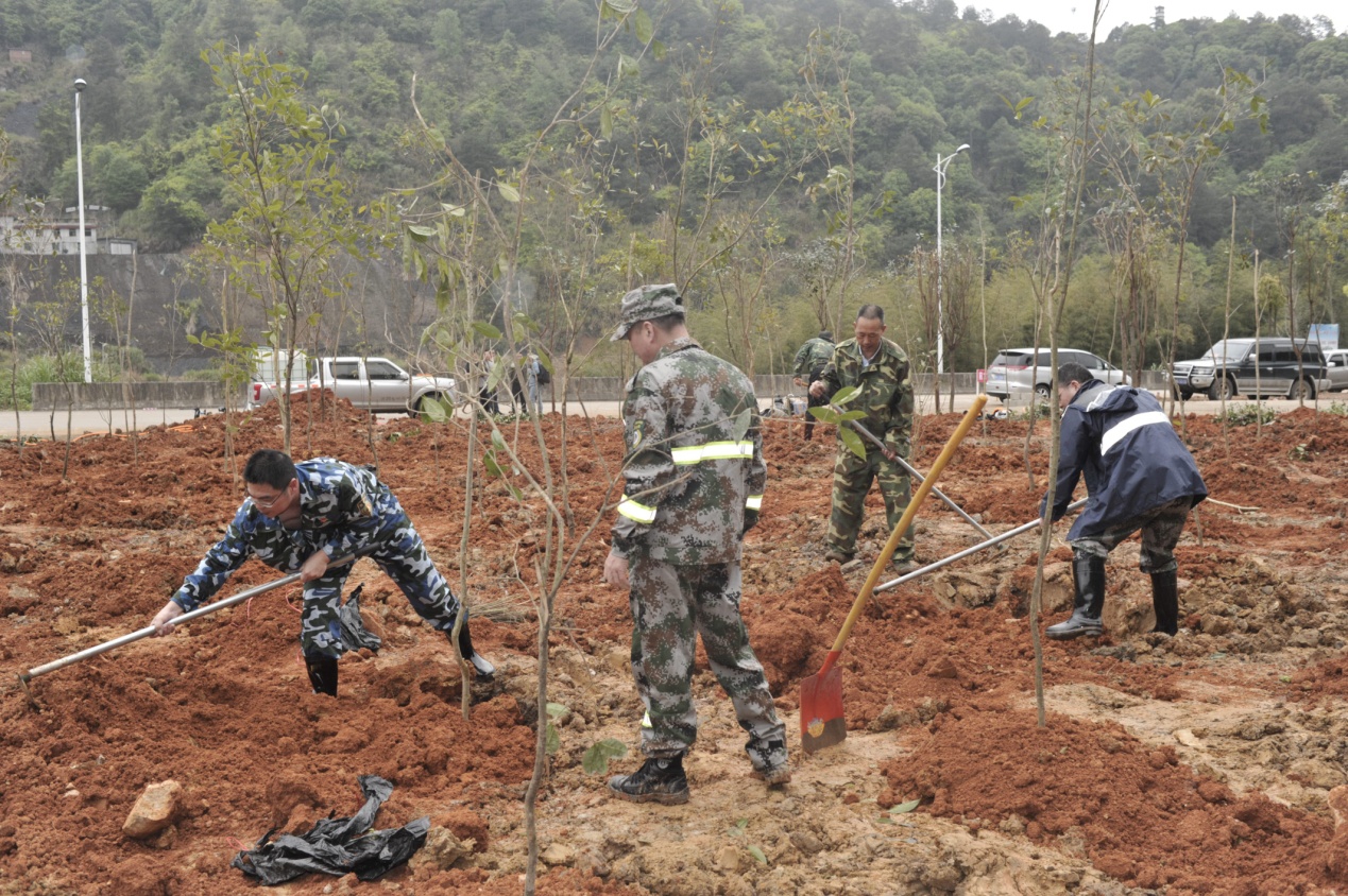 陽春三月雨，正是植樹好時節(jié)