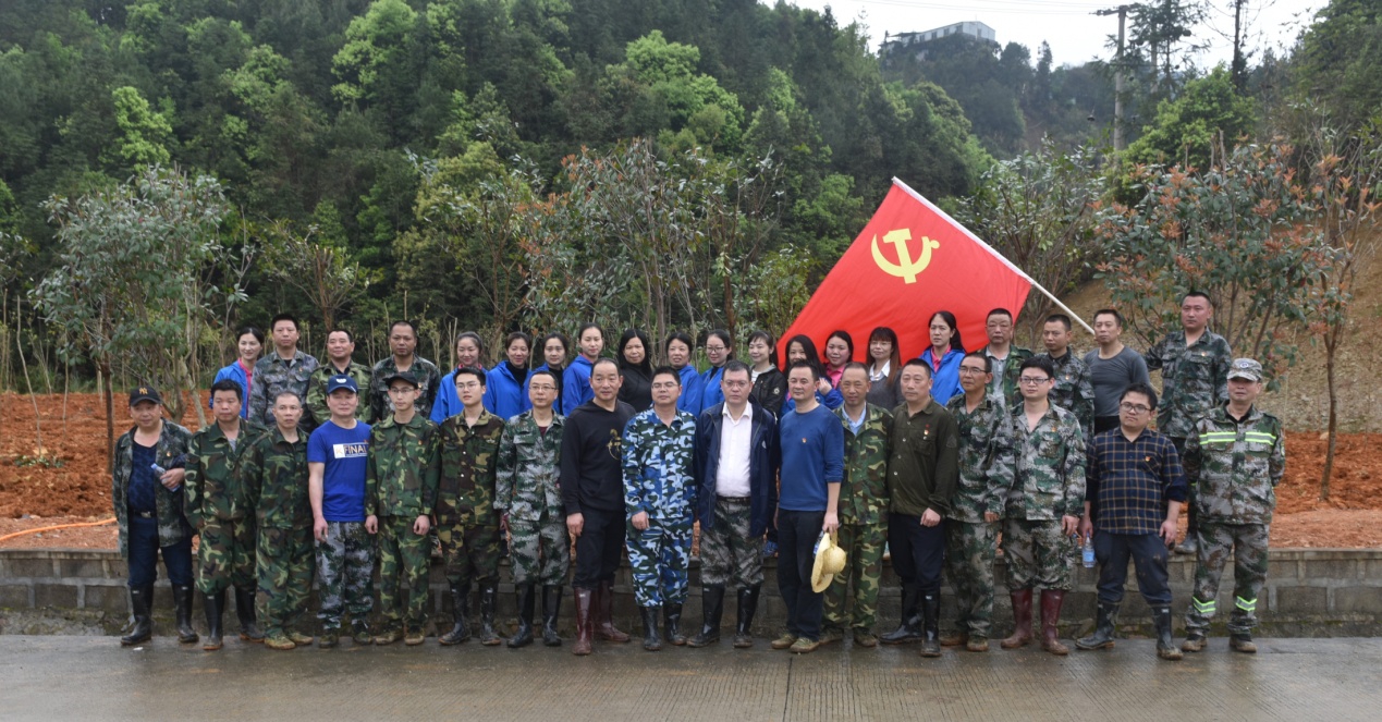 陽春三月雨，正是植樹好時節(jié)
