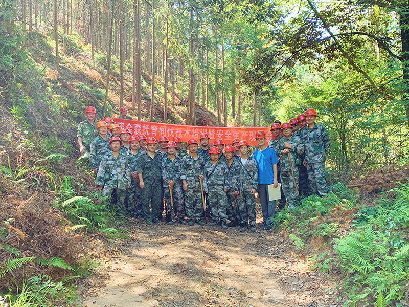 嚴(yán)把森林培育質(zhì)量關(guān)，譜寫(xiě)資源培育新篇章