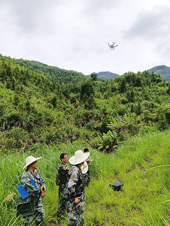 嚴(yán)把森林培育質(zhì)量關(guān)，譜寫(xiě)資源培育新篇章