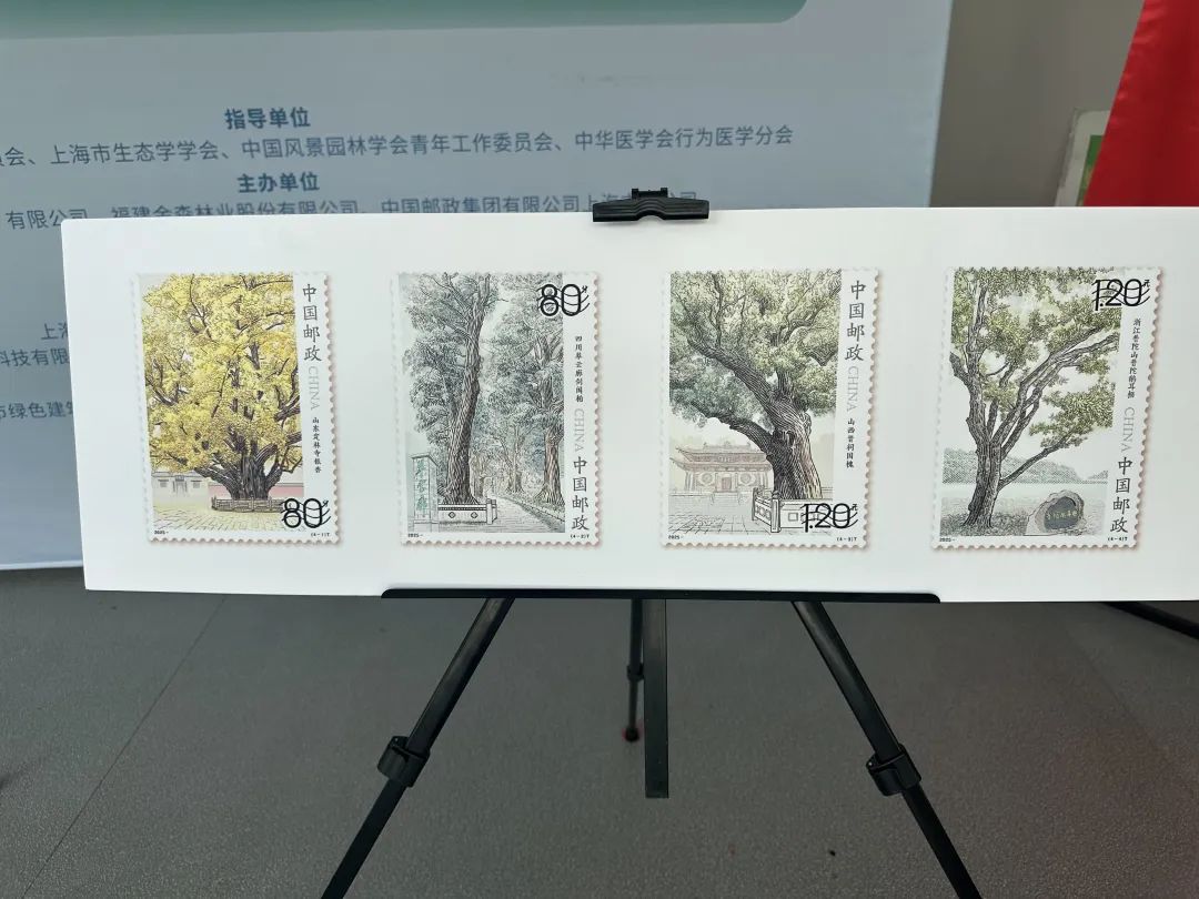 全國生態(tài)日來了！福建金森攜手舉辦上海“山海同普·杏好有你”活動(dòng)